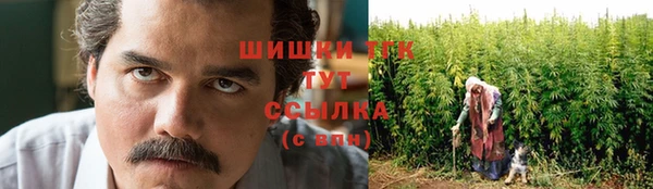 мдпв Кинешма