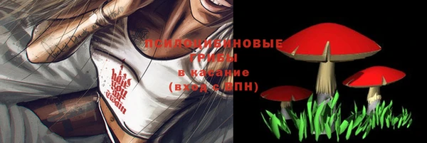 синтетический гашиш Киренск