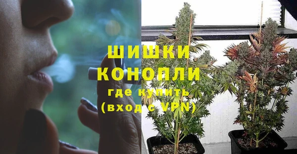 мдпв Кинешма