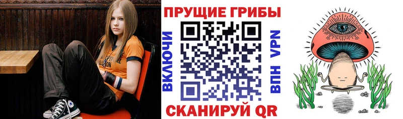 Галлюциногенные грибы Magic Shrooms  Купить закладки  Белинский 